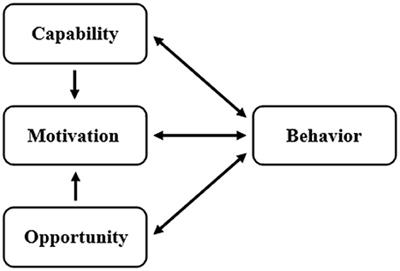 Describing capability, opportunity, and motivation for food safety practices among actors in the Cambodian informal vegetable market